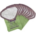 thumbnail image 1 of ProTeam Intercept Micro Filter Bags Green/Purple 10/Pk (107314) 553959, 1 of 2