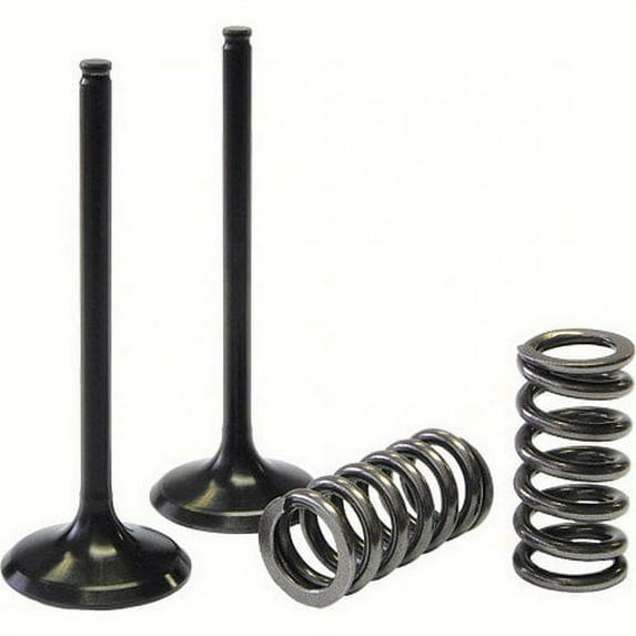 ProX 28.SIS1403-2; Steel Intake Valve / Spring Kit