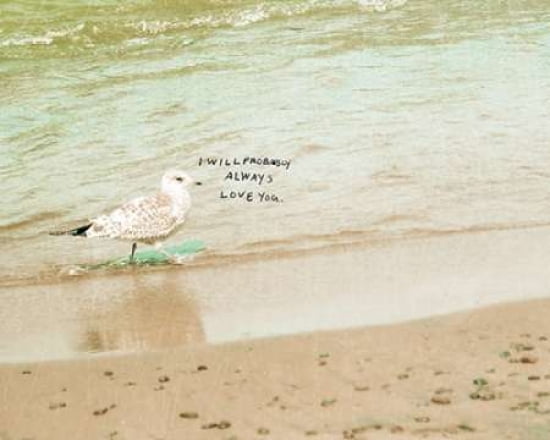 Probably Canvas Art - Lisa Barbero (24 x 30)