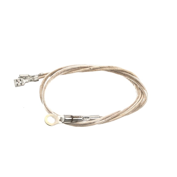 Wells Probe Temp-Rtd-20 Leads 2J-Z16944 - Genuine OEM Replacement Part
