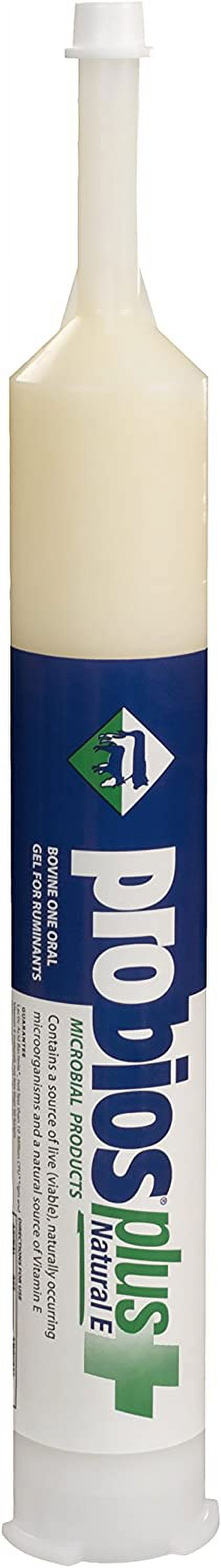 Probios Plus Natural E Oral Gel, 300 gm