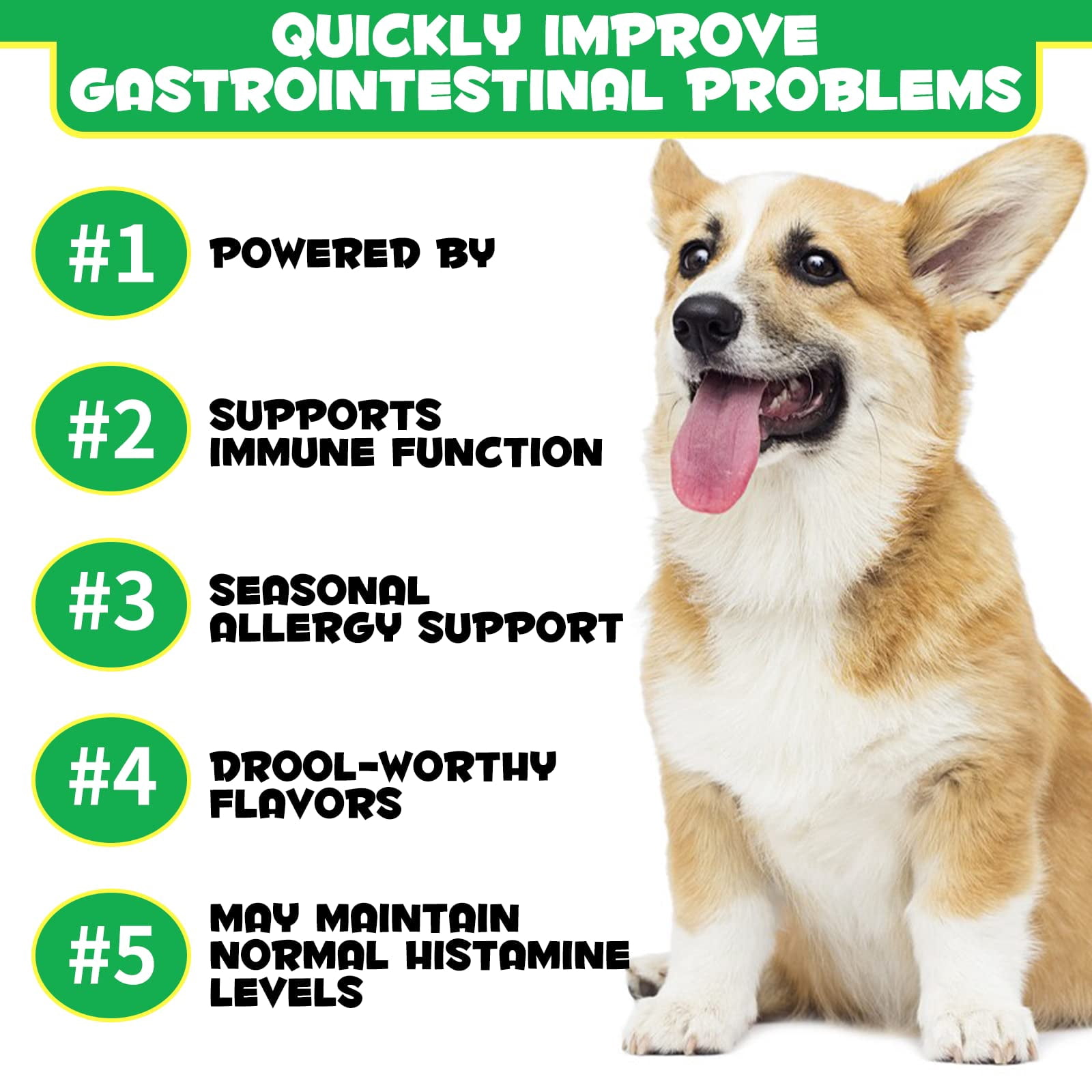 View of Probiotics for Dogs FEV6 Digestive Health, Digestive Probiotic Soft for ...
