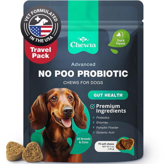 Anti Yeast Dog Food For Yeast Allergies Yeast Infection Treatment