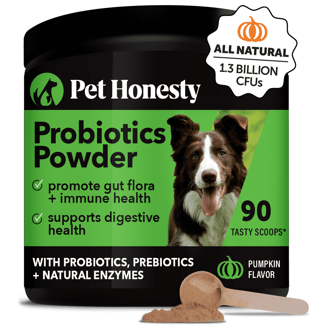 Pet Honesty All-Natural Probiotic & Pumpkin Powder Dog Supplement - Prebiotics, Probiotics, Enzymes & Antioxidants for Healthy Gut Flora, Digestion & Immunity (90 Scoops)