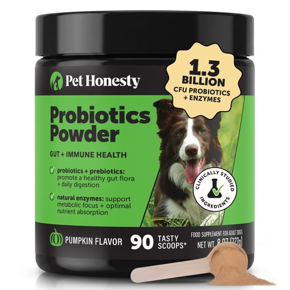 Pet Honesty All-Natural Probiotic & Pumpkin Powder Dog Supplement - Prebiotics, Probiotics, Enzymes & Antioxidants for Healthy Gut Flora, Digestion & Immunity (90 Scoops)