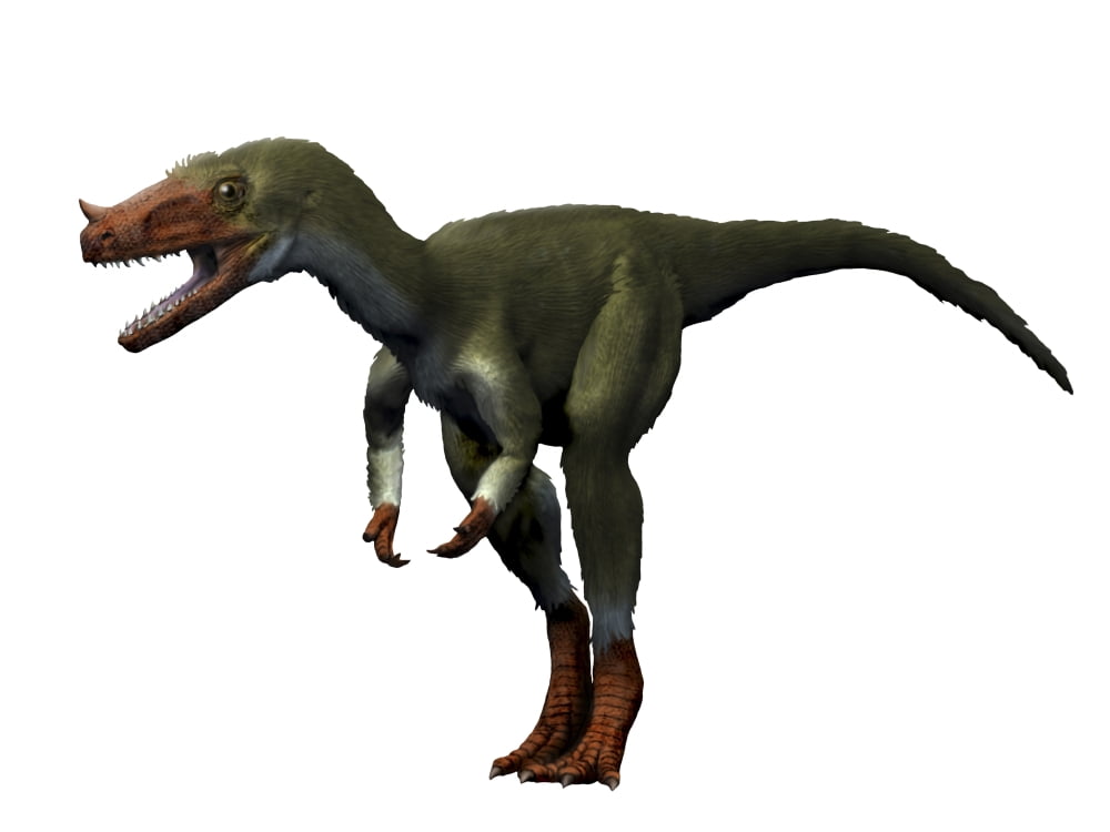 Proceratosaurus dinosaur Canvas Art - Nobumichi TamuraStocktrek Images (33 x 25)