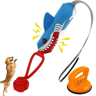 5 Fun Suction-Cup Dog Toys to Keep Canines Busy - Vetstreet