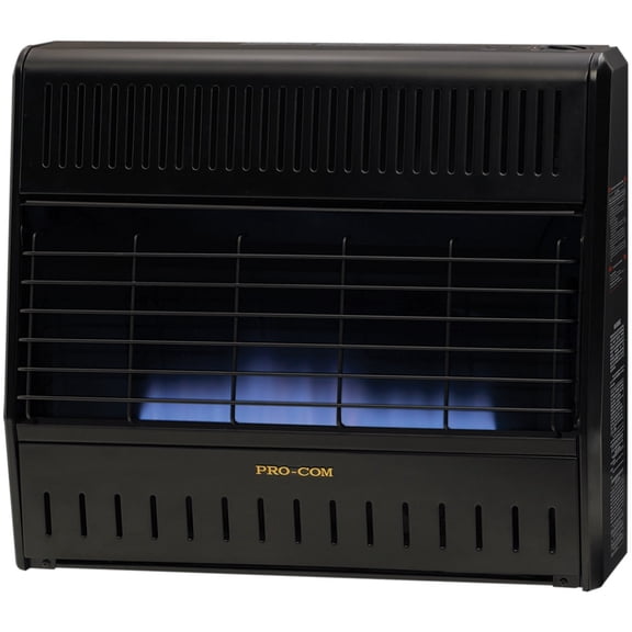 Procom MNSD300TGA 30,000 BTU Dual Fuel Blue Flame Heater - Black