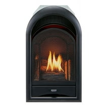 Procom Pcs100t 10,000 BTU Vent Free Dual Fuel Fireplace Insert - Black