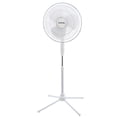 thumbnail image 1 of Proctor Silex 16 Inch 50w Oscillating Standing Fan in White, 1 of 5