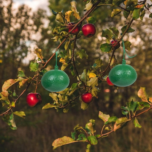 Catcher 2 Fruit Fly Sticky Needle YellowGreen For Control And Solution