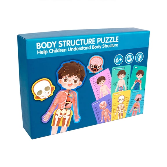 Product Category Educational Toys for Early Learning Human Body Model for Kids – Anatomy Puzzle with Montessori Body Parts Muscles and Skeleton Learning Toy for Ages 3 and Up