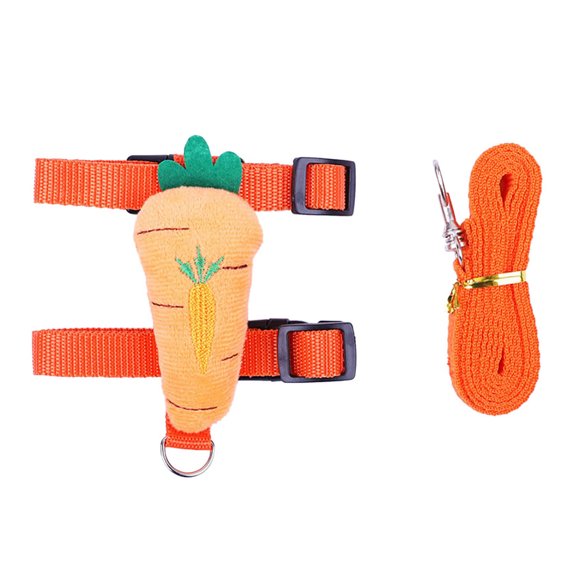 Product Category Leashes - Harness and Leash Set Adjustable for Small Animals like Ferrets and Hedgehogs Outdoor Walking and Decoration, M, Orange
