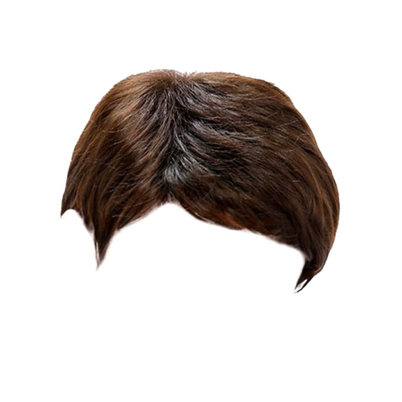 Product Category Wig 2 - European Style Short Straight Full Head Cover for Men 25cm 10inch Fashion Fiber