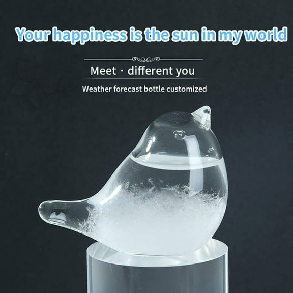 Desktop Ornament Glass Forecaster Weather Barometer 30ml for Desktop Home Décor and Exquisite Glass Craftsmanship