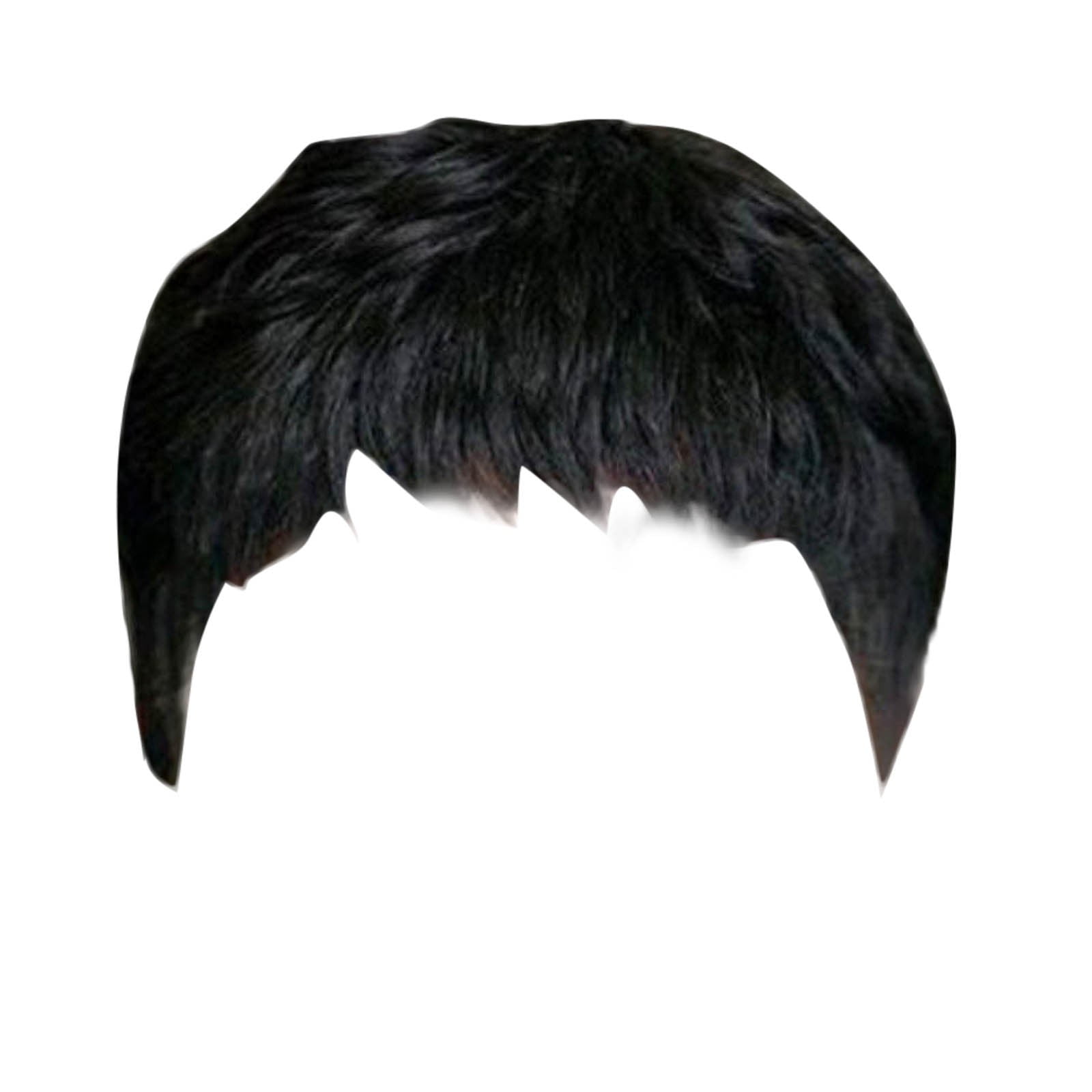 Wig 2 - Short Black Wavy Layered Short Human Hair Wig for Black Women ...