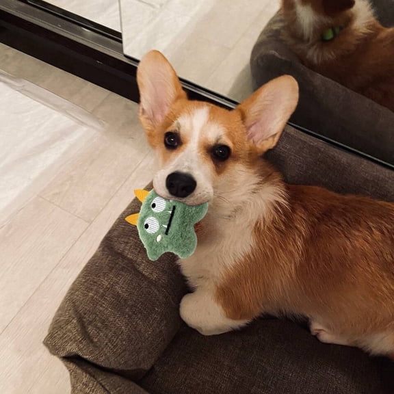 Product Classification Pet Toys – Interactive Chew Toy for Indoor Cats with Light-Emitting Design