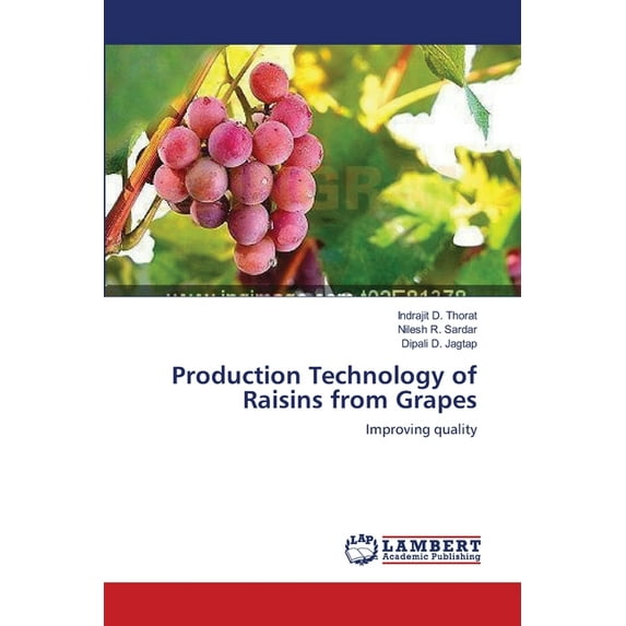 Production Technology of Raisins from Grapes (Paperback)