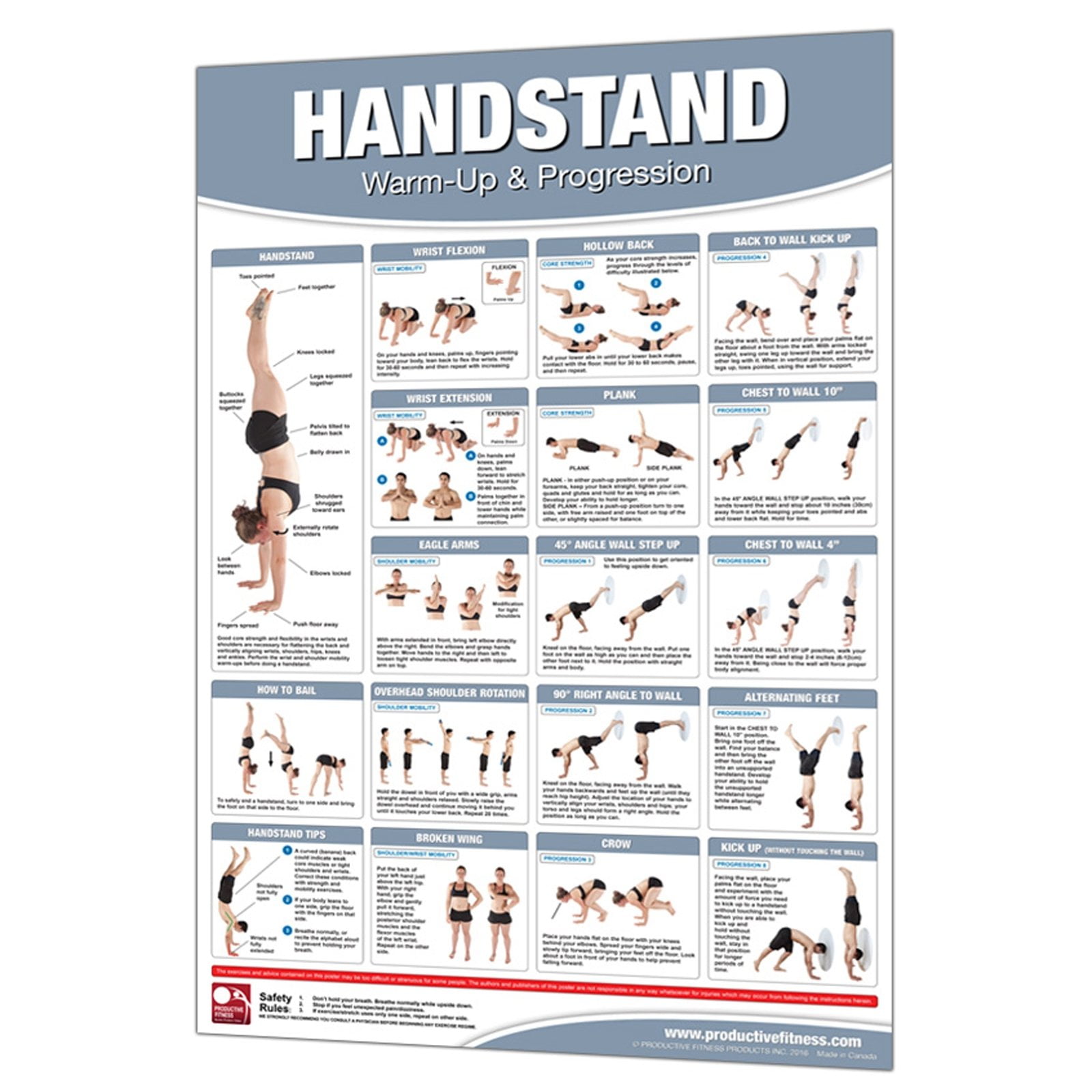 FitMate Resistance Bands Workout Exercise Poster - Workout Routine With Free Weights Home Gym Decor Room Guide 16 5 X 25 Inch - View #3