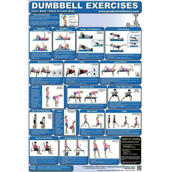 Productive Fitness Poster, 24 in x 2.50 in