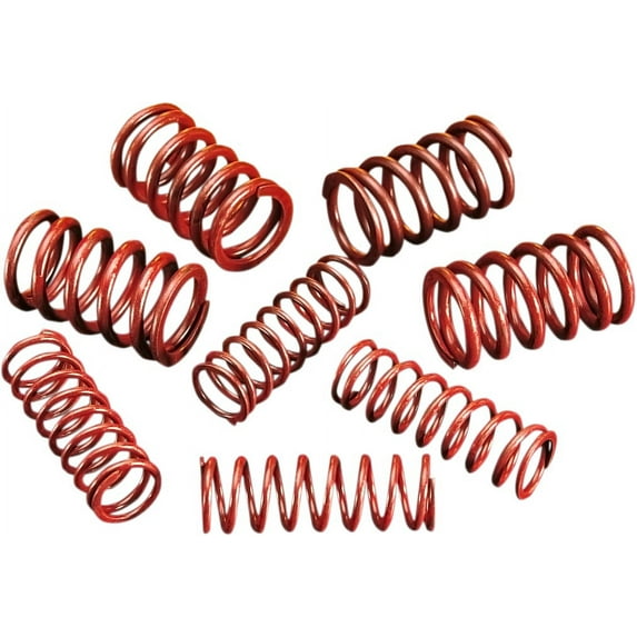 Products VALVE SPRINGS.550"LIFT