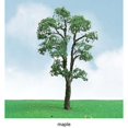 thumbnail image 1 of Pro-Elite Tree, Maple 3.5-4" (2), 1 of 1