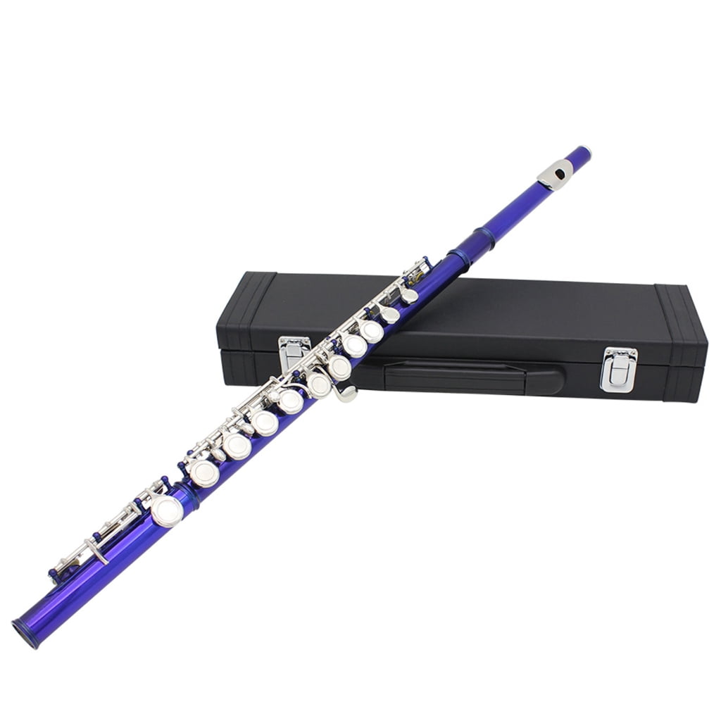 Professional 16 Hole Flute with E C Tone Closed Hole Flute With Bag Cloth Stick for Beginners