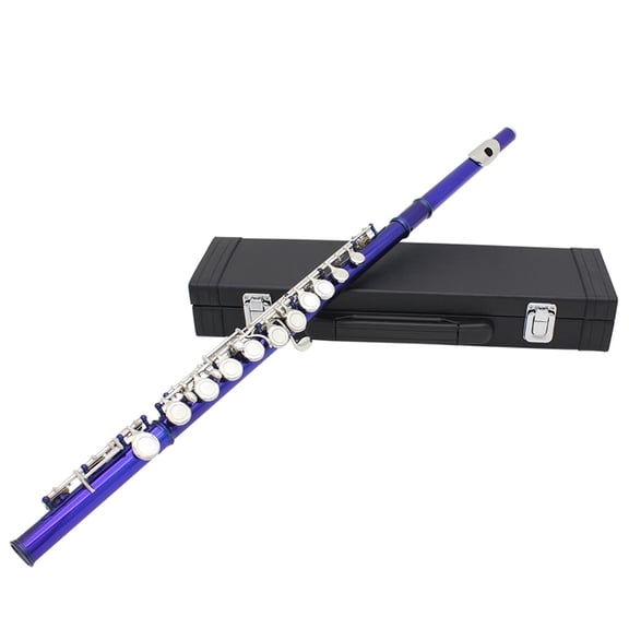 Professional 16 Hole Flute with E C Tone Closed Hole Flute With Bag Cloth Stick for Beginners