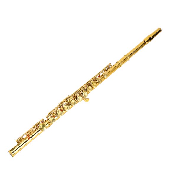 Professional 16 Keys Closed Hole C Flute with Split E Key Premium Cupronickel Gold Flute Instrument for Beginner Student Adult Includes Case Cleaning Kit Gloves 15.7 Inches / 40.0 cm