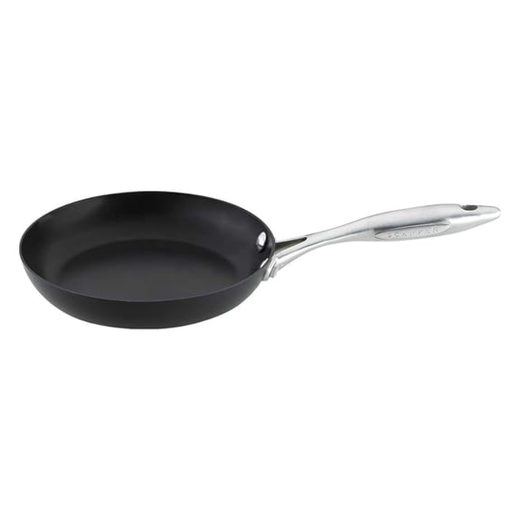 Professional 9 1/2 inch Nonstick Fry Pan - Compatible with All Cooktops, Induction Ready, Metal Utensil Safe, Oven Safe to 500F, Dishwasher Safe
