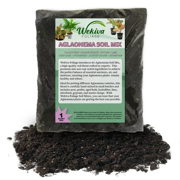 Aglaonema Growing Soil Mix  2 Quarts - Custom Soil Blend  Potting Mix for Aglaonema Plants  Specially Developed by and for Professional Nursery Growers - Nutrient-Rich Formula