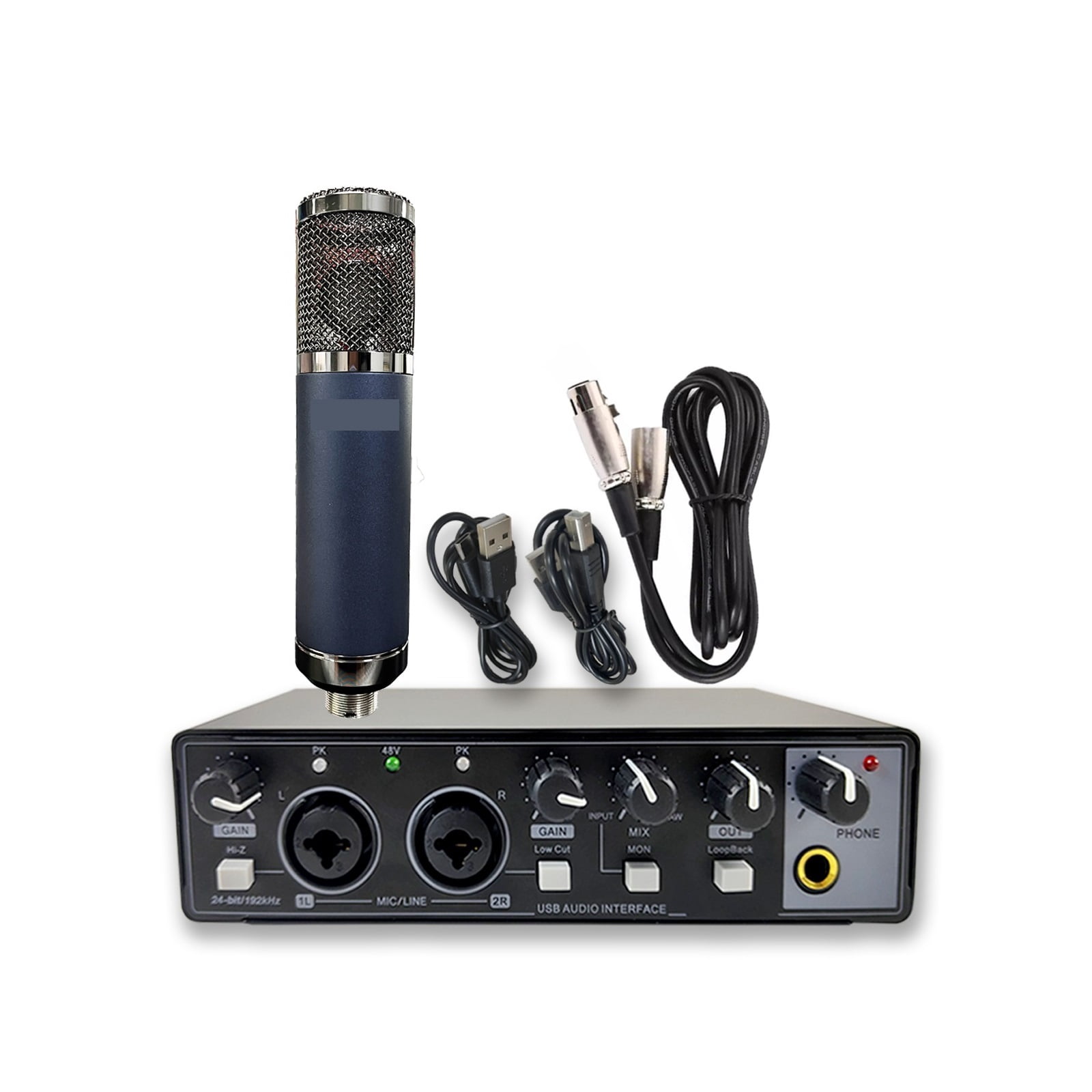 Professional Audio 2 In 2 Out USB Audio Interface Recording Sound Card With Large Diaphragm Recording Mic