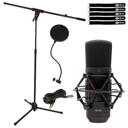 Professional Audio Condenser Microphone Mic Studio Recording, Stand & Pop Filter price history and forecast - Marantz Professional EM-91C