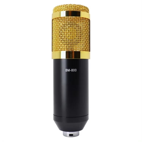 Professional Audio Condenser Microphone Set with Shock Mount, Studio Sound Recording Mic for Radio Broadcasting, Voice over, and Recording