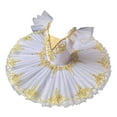thumbnail image 1 of Professional Ballet Dress for Girls Leotard Ruffles Mesh Camisole Skirted Princess Tutu Ballerina Costumes, 1 of 5