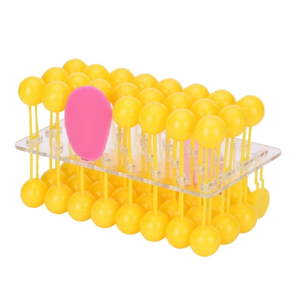 Realistic Cell Structure Biology Demonstration Tool Biology Teaching Aid for Teachers Students And Science Enthusiasts