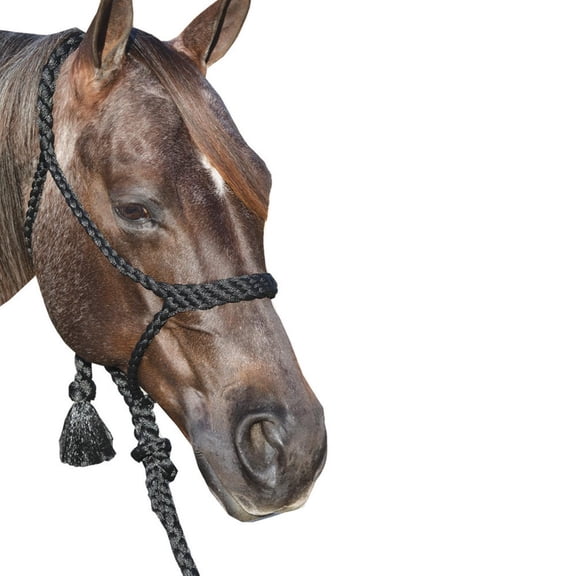 Professional Choice Cowboy Braided Noseband Horse Rope Halter White