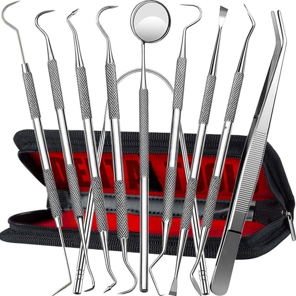 Professional Dental Tools Set 10Pack, Stainless Steel Teeth Cleaning Kit with Mirror, Tartar Scraper, Tongue Scraper & Travel Case