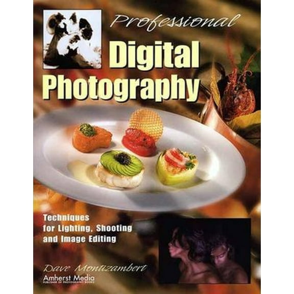 Pre-Owned Professional Digital Photography: Techniques for Lighting, Shooting, and Image Editing (Paperback) 1584280816 9781584280811