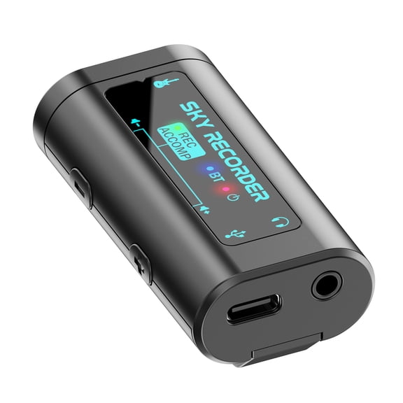 Professional Digital Voice Recorder Playback Music Player Noise Reduction Sound Recorder Musical Instrument Recorder