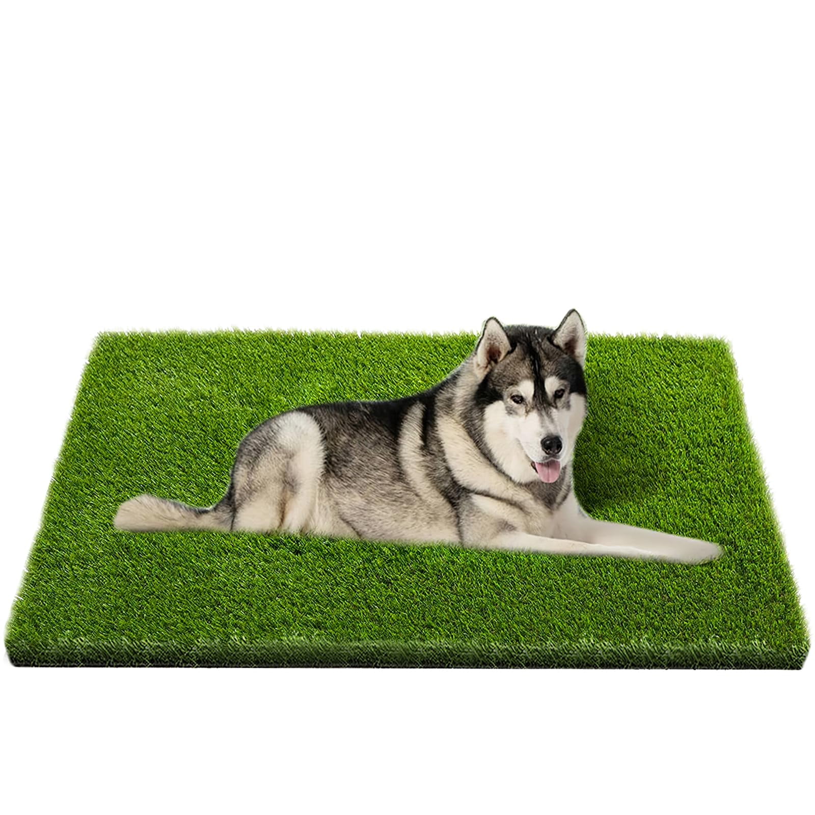 Professional Dog Grass Mat, Artificial Grass, Potty Training Rug and