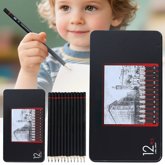 Professional Drawing Sketching Pencil Set - 12 Pieces Graphite (8B - 2H) Ideal for Drawing Art Sketching Shading Artist Pencils for Beginners & Pro Artists