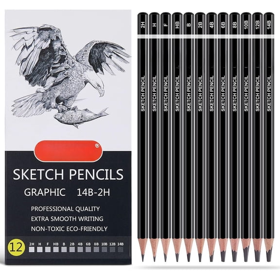 Professional Drawing Sketching Pencil Set - 12 count Graphite Pencils(14B - 2H), Ideal for Drawing Art, Sketching, Shading, Artist Pencils for Beginners & Pro Artists