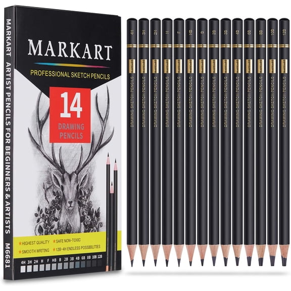 Professional Drawing Sketching Pencil Set - 14 Pieces,Graphite,(12B - 4H), Ideal for Drawing Art, Sketching, Shading, Artist Pencils for Beginners & Pro Artists
