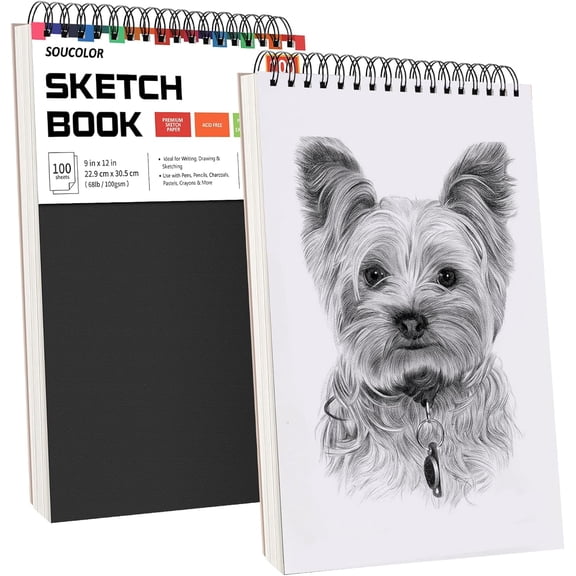 Professional Drawing Supplies for Sketch, Charcoal, Colored, Graphite, Pastel Pencils & Sticks. 2-Pack 9" x 12" Sketch Book, 200 Sheets Spiral Bound 68lb/100gsm Paper for Kids Adults Artists