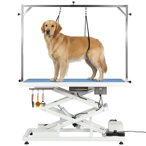 Toyandona Professional Electric Lift Table with Storage Drawer and Hooks