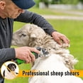 thumbnail image 1 of Professional Electric Sheep Shears 550W with 6 Speeds for Dog Thick Hair and Large Animals, 1 of 6