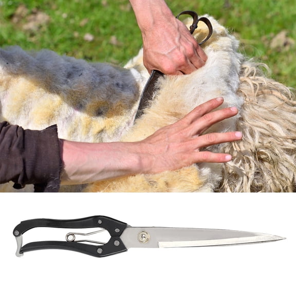 Professional Ergonomic Hand Shears for Sheep Goat and Rabbit Grooming, Durable Steel Hair Trimming Scissors (33cm)