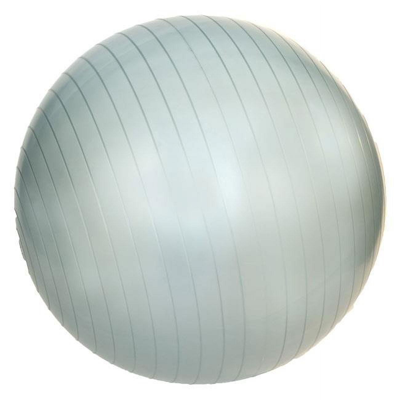 Professional Exercise Ball 55cm Pearl Green