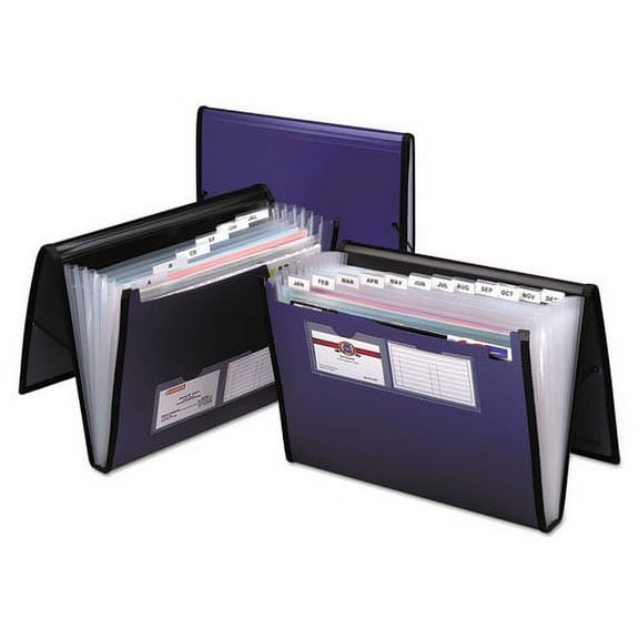Professional Expanding Organizer, 7 Sections, Letter Size, Blue | Bundle of 2 Each